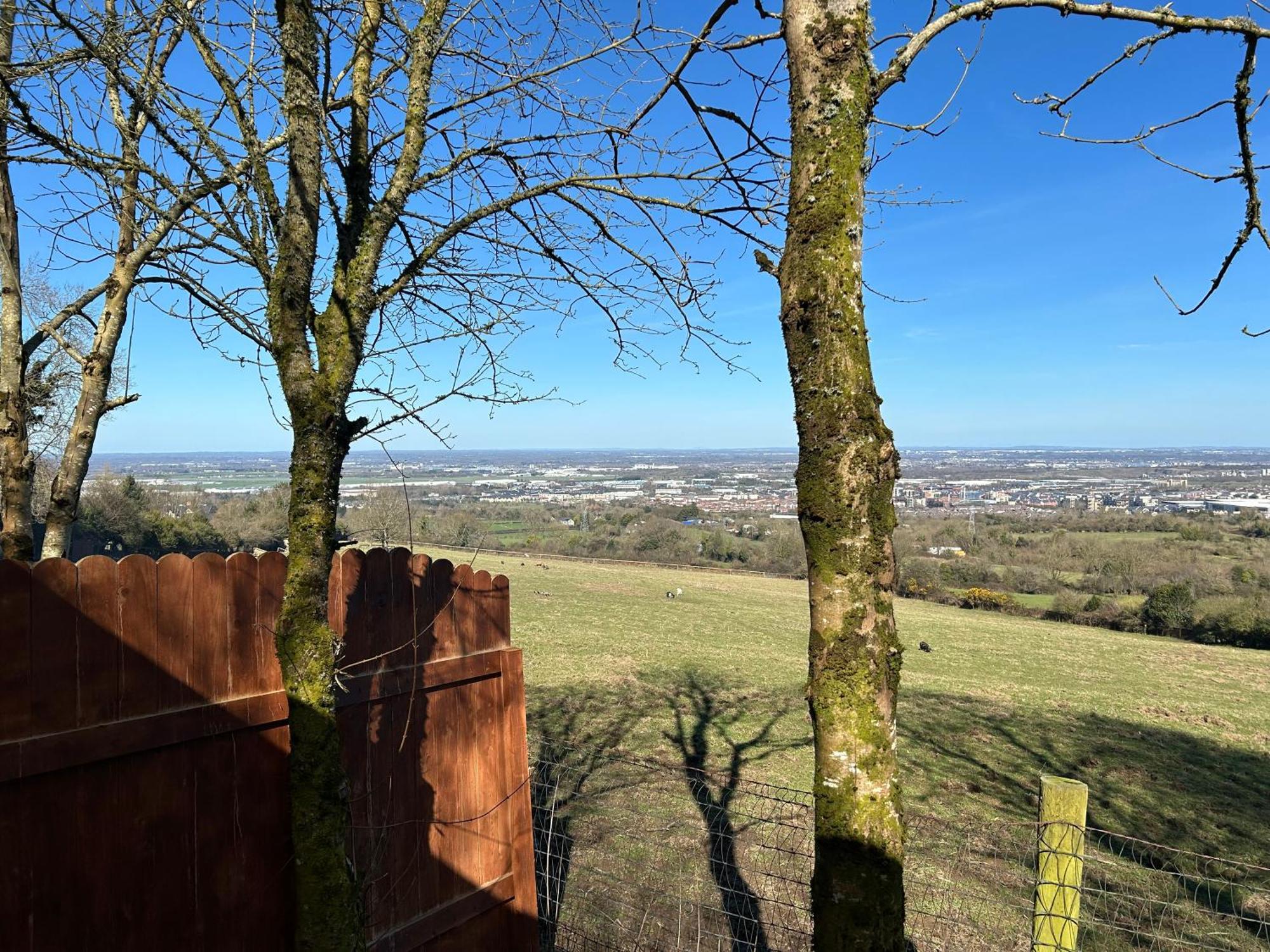 Sky Gazer Cabin In The Woods Dublin Exterior foto
